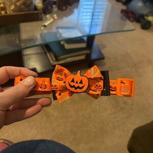 Halloween Pumpkin Dog Collar with Bow
